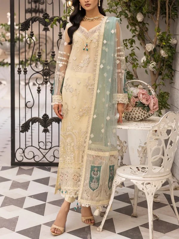 Net Gauze Perspective Elegant Pakistan Ladies Suit