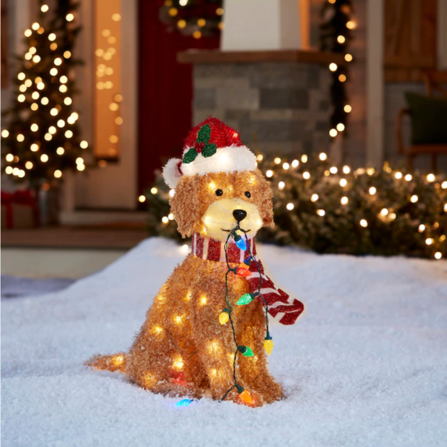 🔥kukelife🔥Holiday Living  27-in LED Fluffy Doodle with Light String