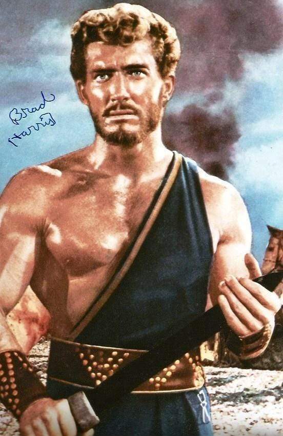 Brad Harris ACTOR and STUNTMAN autograph, signed Photo Poster painting