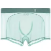 Men's Sexy Ultra-Thin Ice Silk Mesh-Panelled Transparent Boxer Briefs