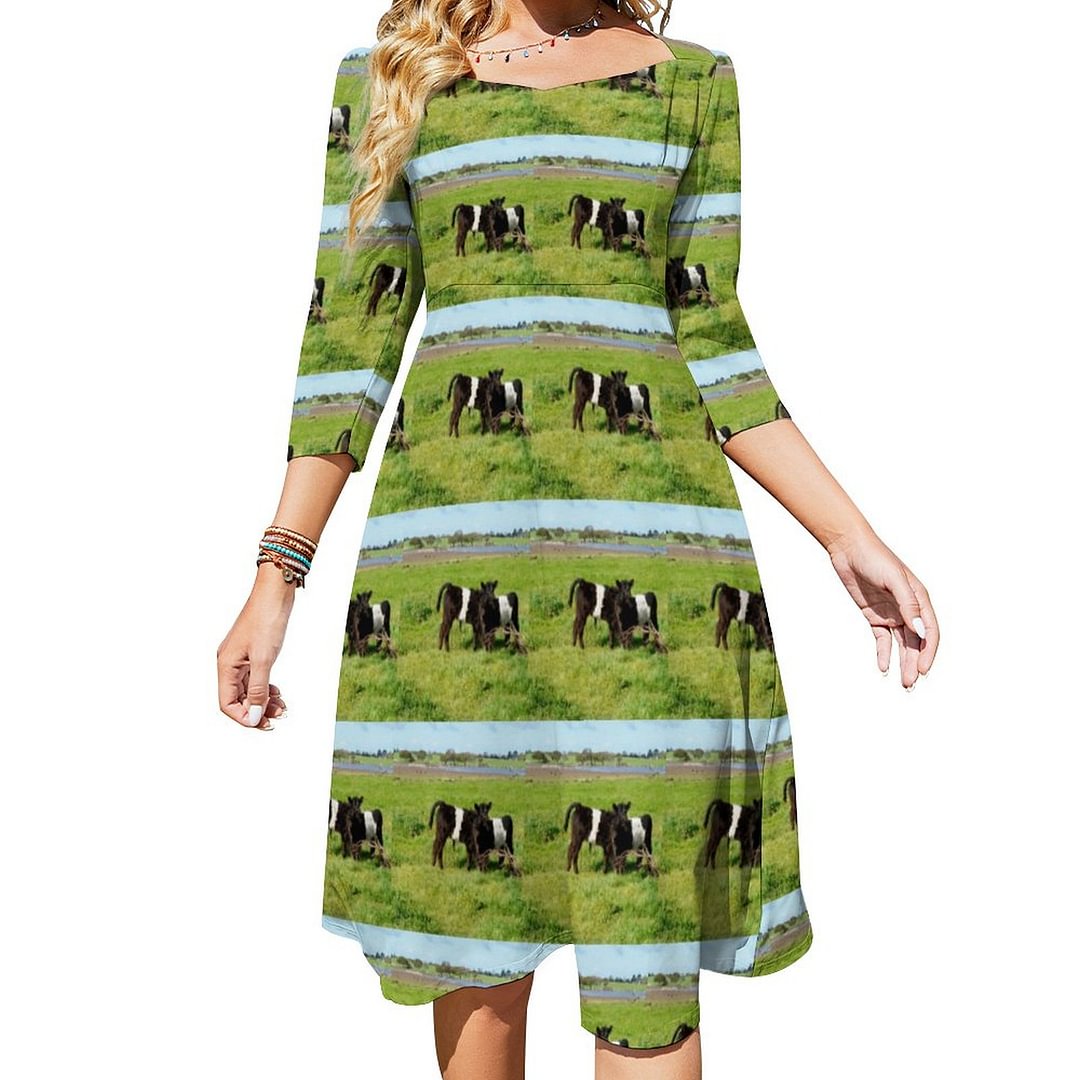 Baby Belted Galloway Cows In A Paddock Dress Sweetheart Tie Back Flared 3/4 Sleeve Midi Dresses