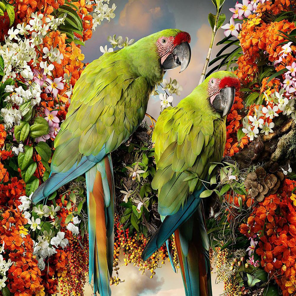 

30*30CM Round Drill Diamond Painting-Looking Back Parrots, 501 Original