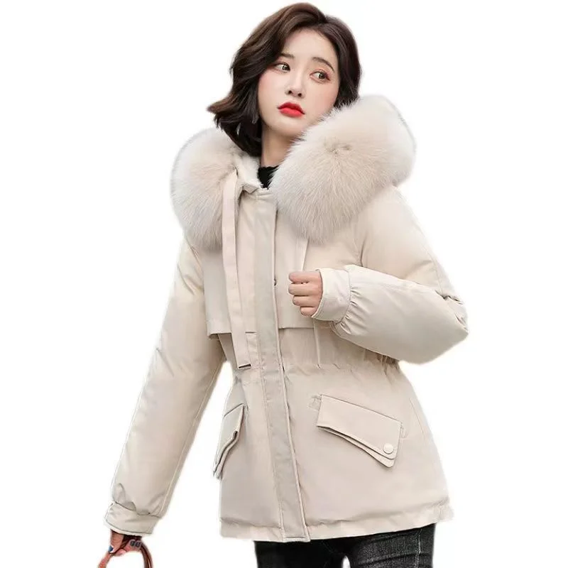 Toloer Winter 2023 New Women's Down Padded Clothes Cotton Clothes Women's Winter-Outfit Ideas