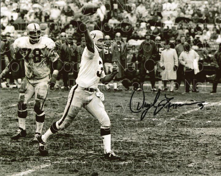 Daryle Lamonica Raiders signed Photo Poster painting 8X10 poster picture autograph RP