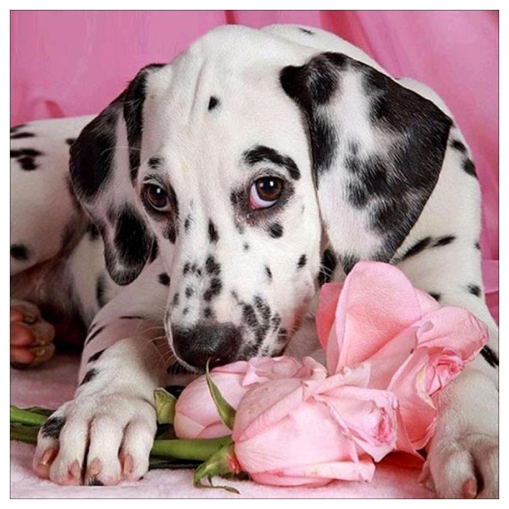 

30*30CM - Dog Flower - Round Drill Diamond Painting, 501 Original