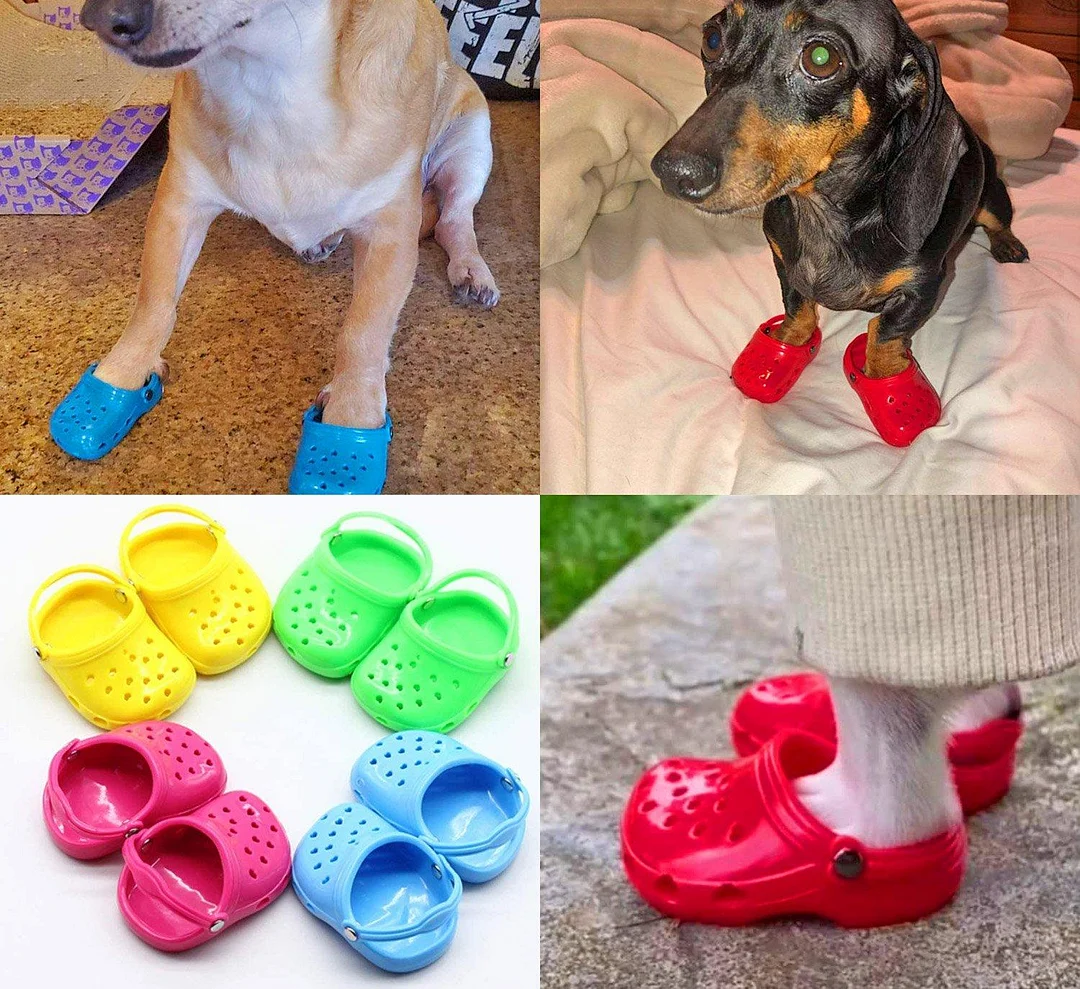 🔥Buy 1 get 1 free🔥Dog Crocs Are Now A Thing, And Your Dog Probably Wants Them