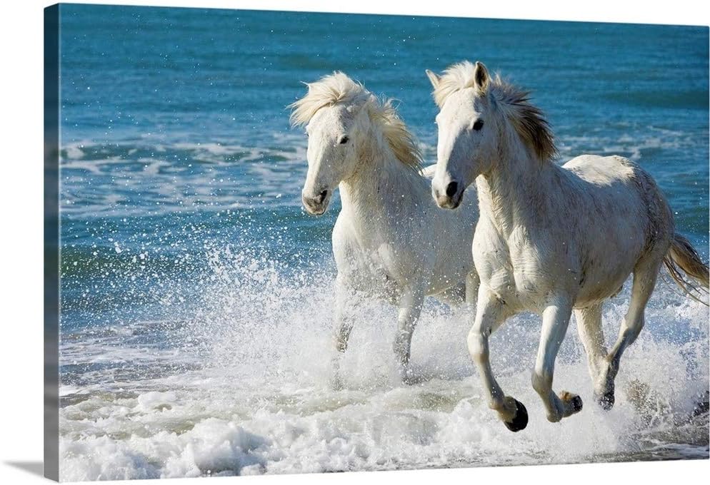 Camargue Horses Running on The Beach, Canvas Wall Art Print, Horse Artwork 24 x 16 inch