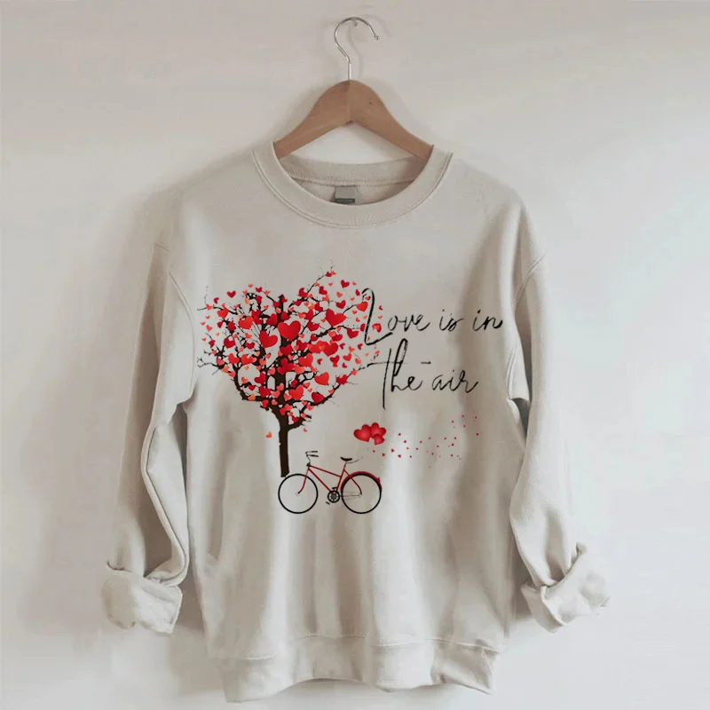 Love Is In The Air Valentine Sweatshirt