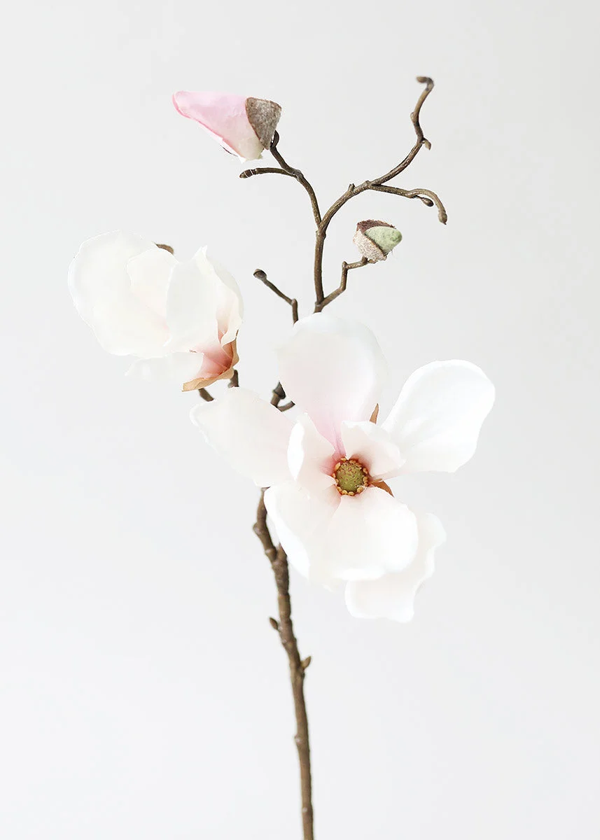 Silk Magnolia Branch in Blush Pink - 19"