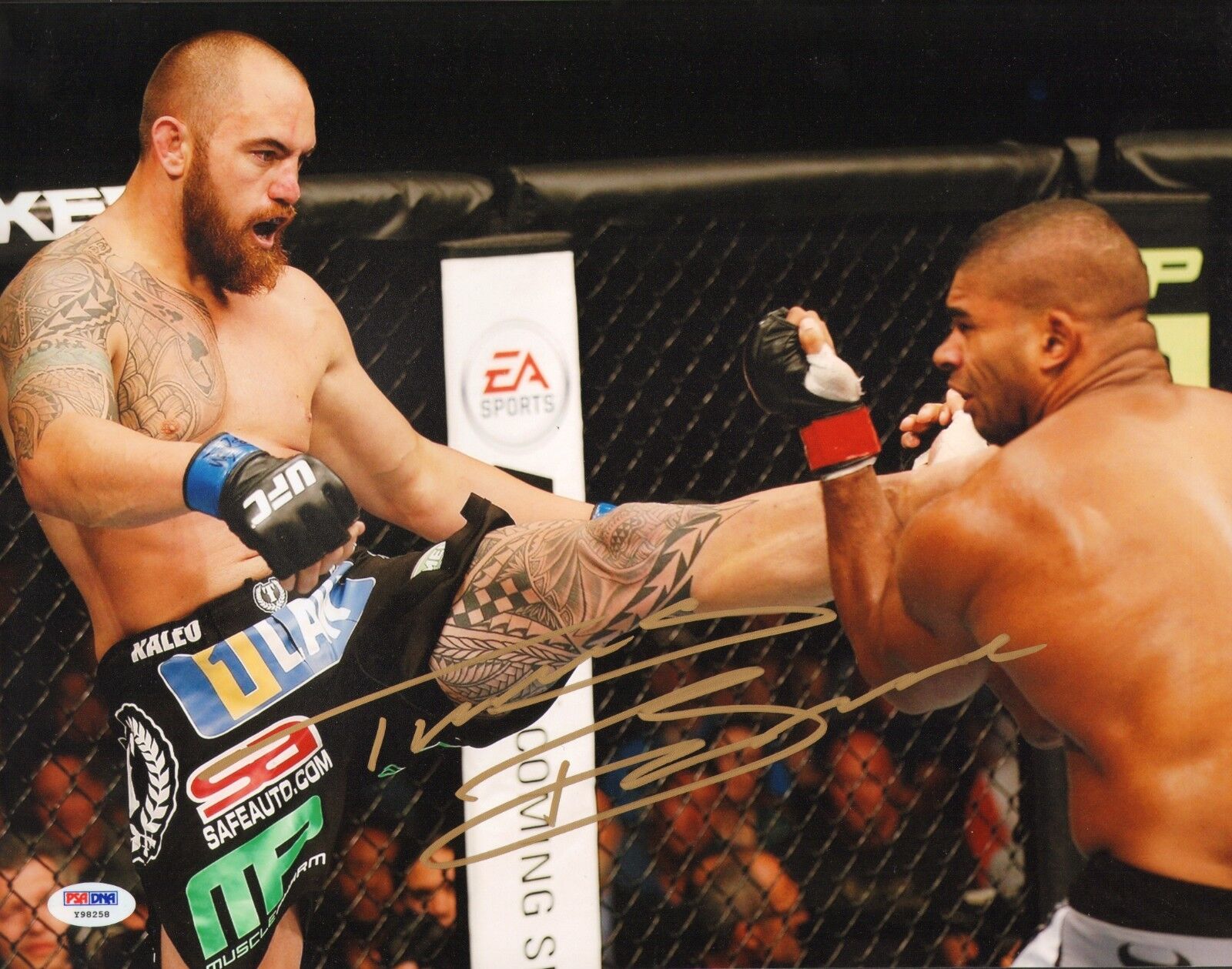 Travis Browne Signed UFC 11x14 Photo Poster painting PSA/DNA COA Auto'd Picture Fight Night 26