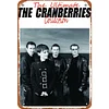 The Cranberries Band - Vintage Metal Signs - 20*30cm/30*40cm - Music