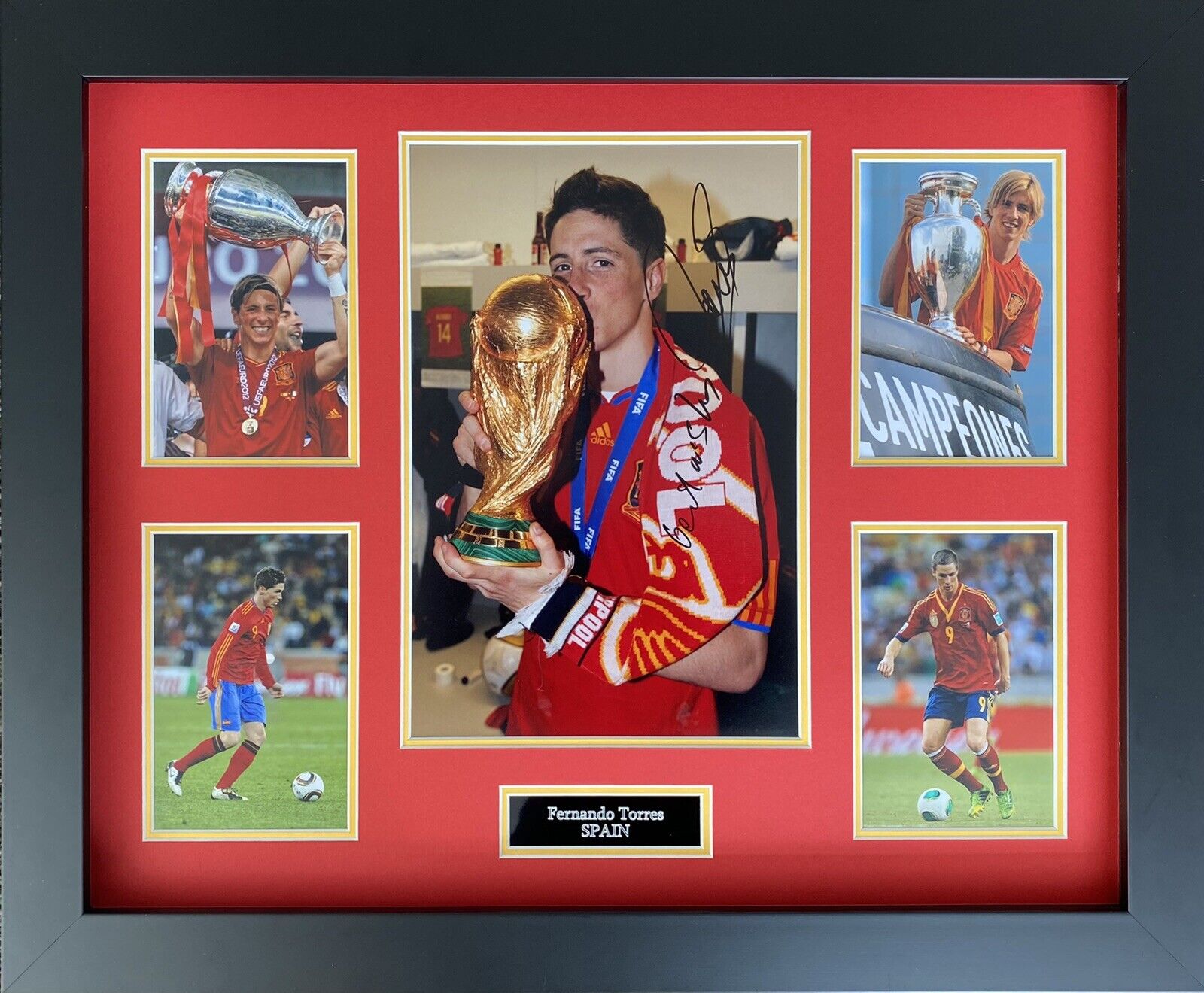 Fernando Torres Genuine Hand Signed Spain Photo Poster painting In 20x16 Frame Display, Proof