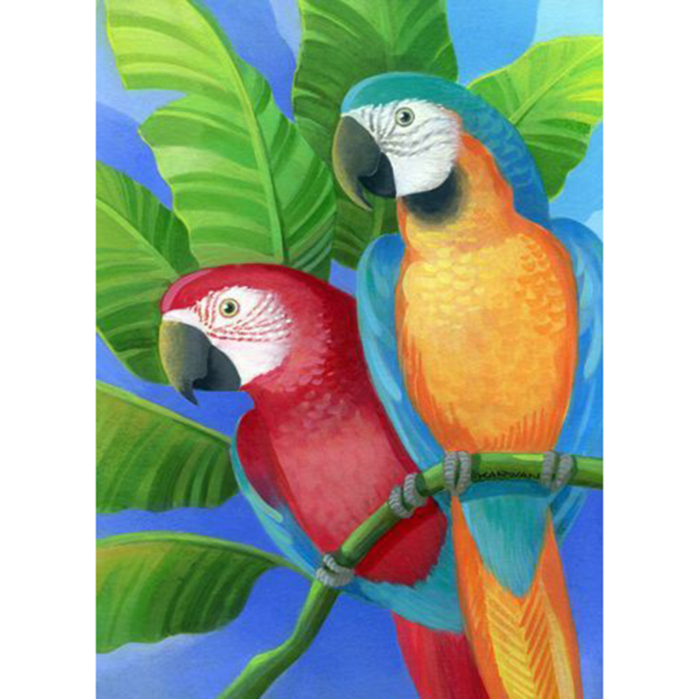 

Two Parrot - Round Drill Diamond Painting - 40*50CM, 501 Original