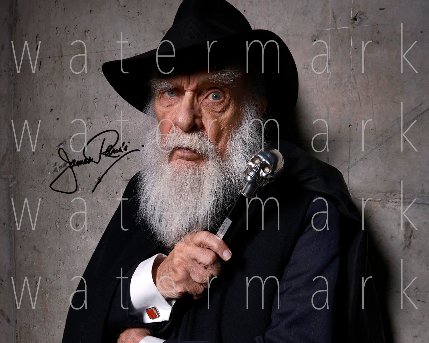 James Randi signed Photo Poster painting 8X10 poster picture autograph RP