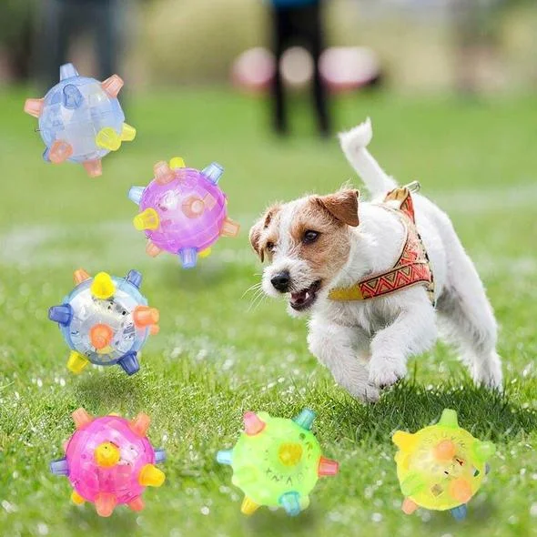 Jumping Activation Ball for Dogs