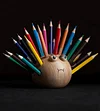 Dolphin Wooden Pen Holder Storage Box with 24 Colored Pencils
