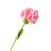 (Finished Product)Crochet Carnation Artificial Carnation Exquisite Aesthetic for Gift Home Office Decor