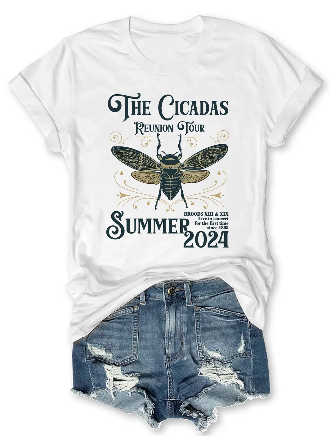 The Cicadas Reunion Tour Summer 2024 T-shirt