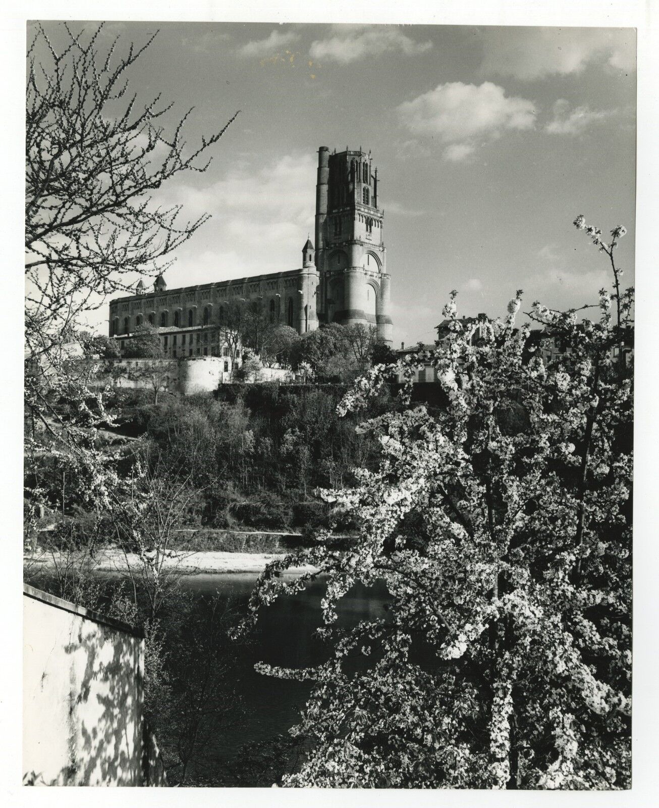 Albi French Cathedral - Vintage 8x10 Publication Photo Poster paintinggraph - France