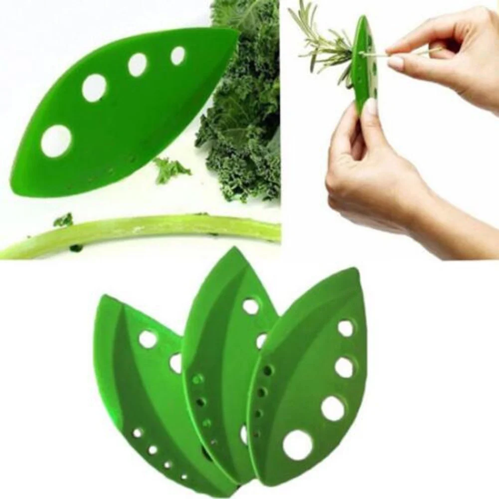 Vegetables Leaf Separator Rosemary Thyme