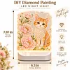 DIY Diamond Art LED Night Light &ndash; Light-Up Table Decor, Double-Sided Printed DIY Crystal Pearl Painting Decoration for Holiday & Gifts(Cat)