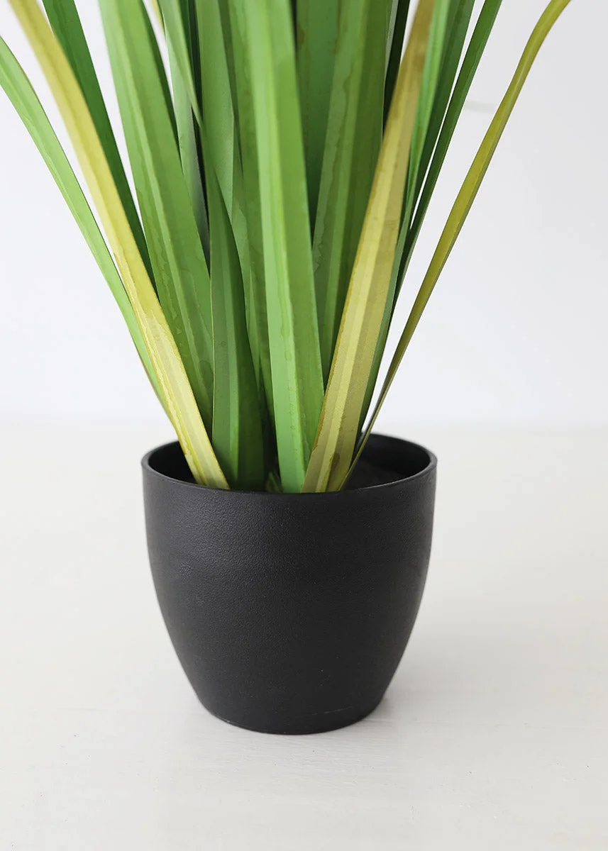 Fake Reed Grass Plant in Pot - 33"
