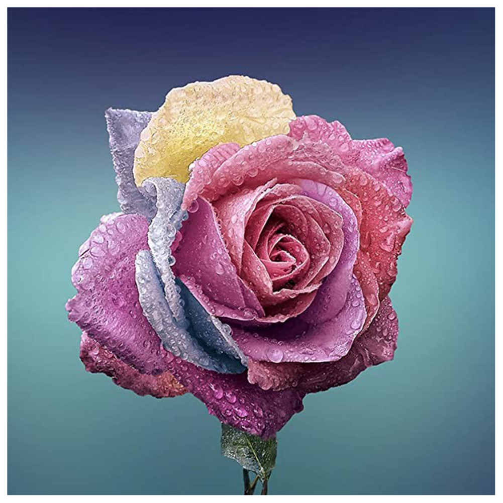 

Color Rose - Round Drill Diamond Painting - 30*30CM, 501 Original