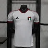 2026 Player Version United Arab Emirates Home Football Shirt 1:1 Thai Quality