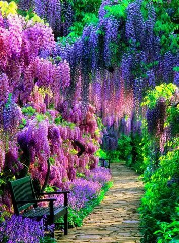 5D Diamond Painting by Purple Garden、bestdiys、sdecorshop