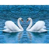Romantic White Swan   | Full Round Diamond Painting Kits