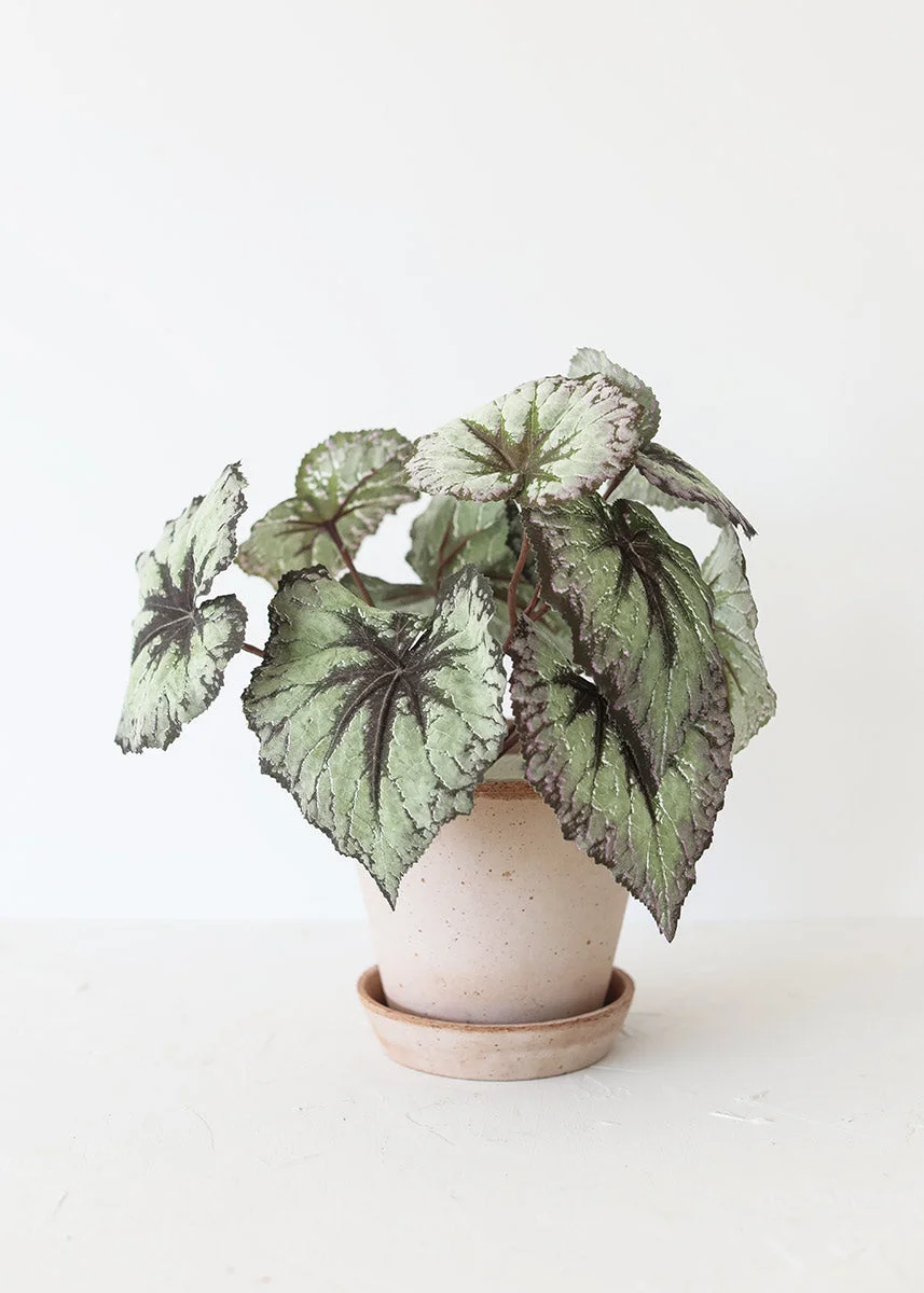 Purple Green Artificial Begonia Bush - 9"