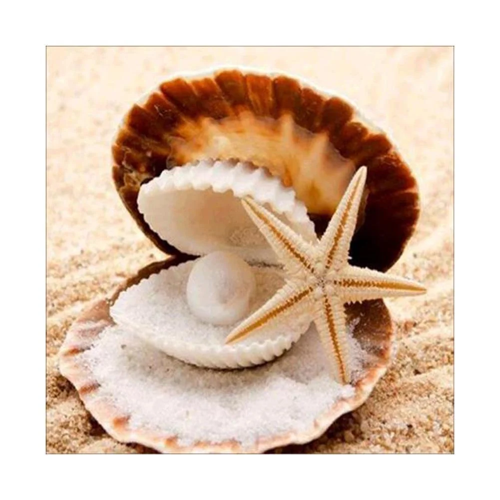 Full Round Diamond Painting Shell and Pearl (30*30cm)