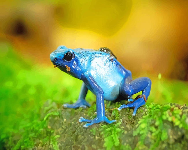 

Blue Frog – Paint By Numbers - 40*50CM, 501 Original