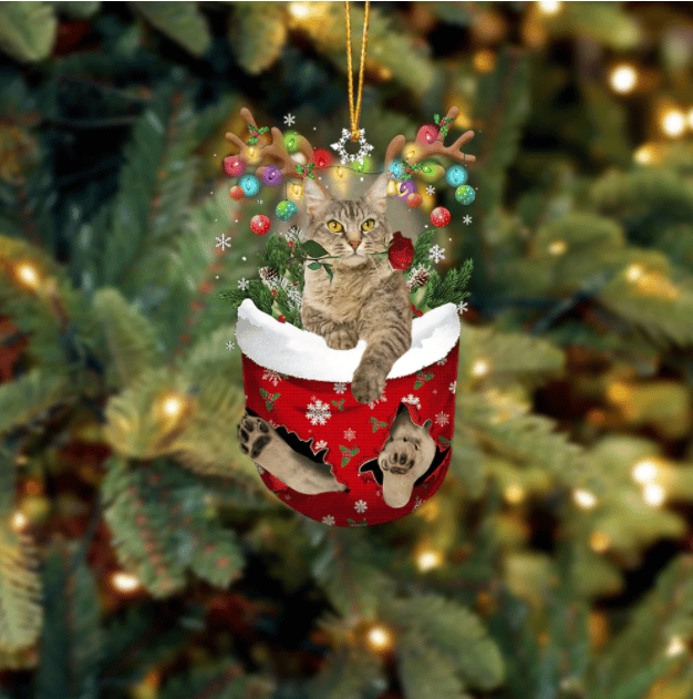 LaPerm Cat In Snow Pocket Ornament