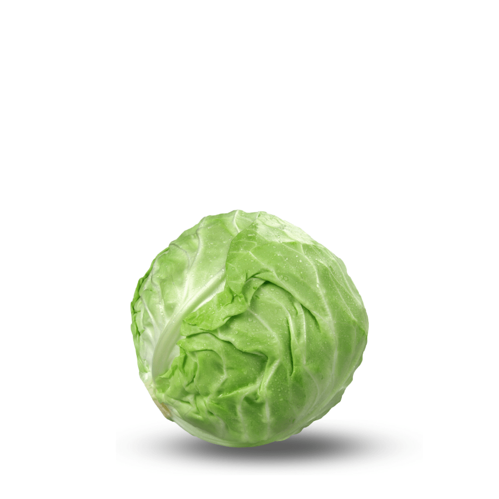 Heirloom Cabbage Green Seeds (Band Gobi) Seeds