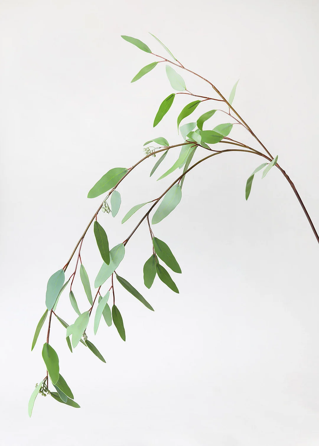 Real Touch Seeded Weeping Eucalyptus - 52"