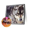 Diamond Painting -DIY Round Drill Wolf Girl(40x40cm)