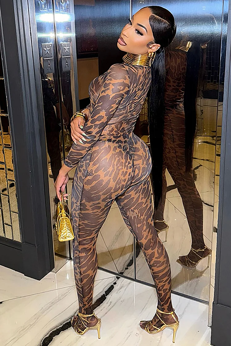 Leopard Print High Neck Bodysuit See Through Pantyhose 2pcs Set-Brown
