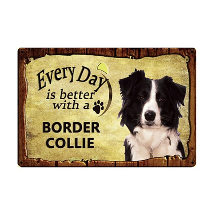 Every Day Is Better With A Border Collie - Vintage Tin Signs/Wooden Signs - 7.9x11.8in & 11.8x15.7in