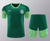 2024/2025 Palmeiras pre-match training Green Shirt+Shorts 1:1 Thai Quality