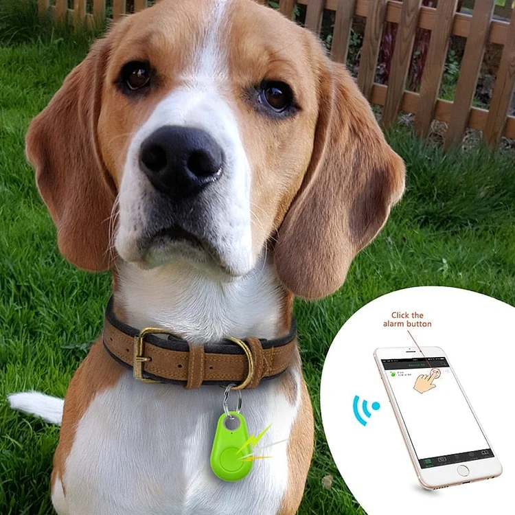 Bluetooth and GPS Pet Wireless Tracker