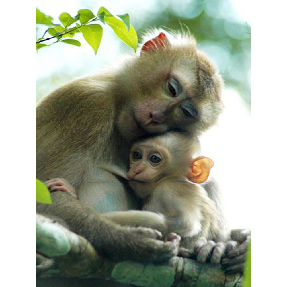 

(Multi-Size) Ape - Round/Square Drill Diamond Painting, Square diamond 30*40cm, 501 Original