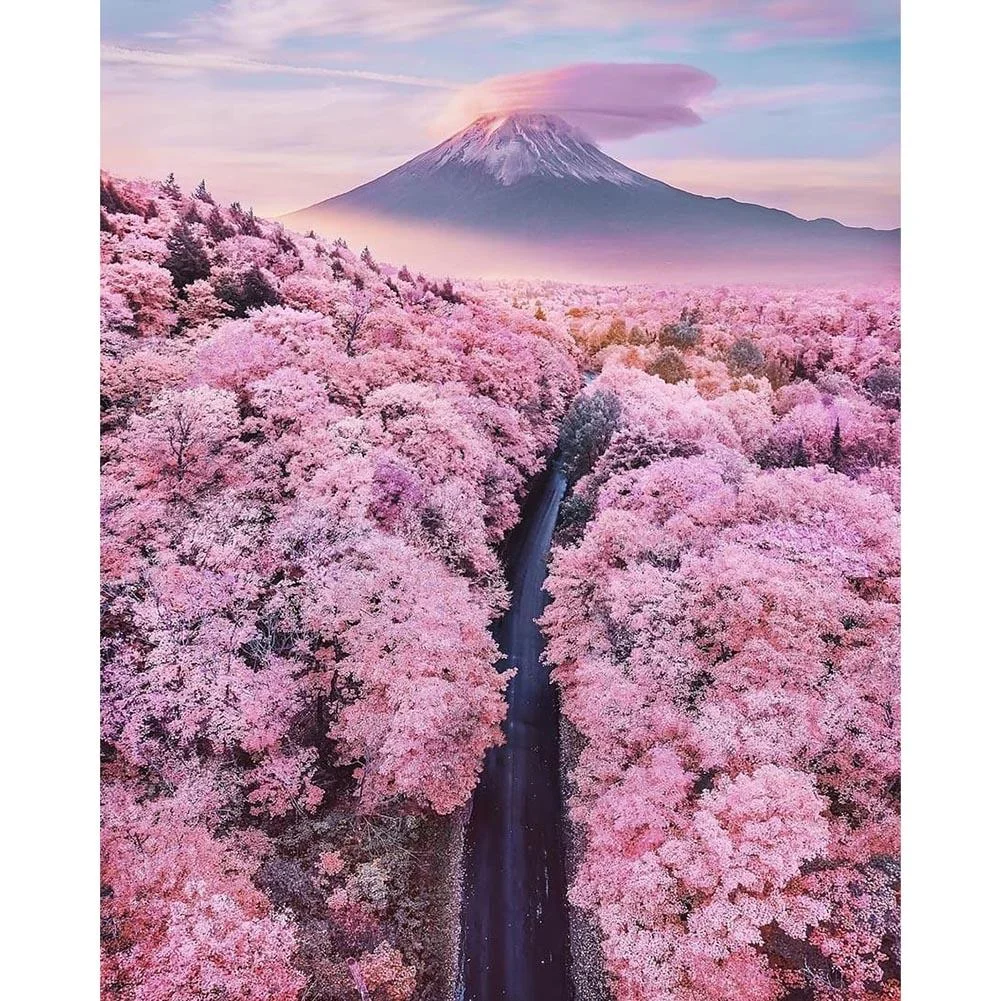 Full Round Diamond Painting - Cherry Blossom(30*40cm)