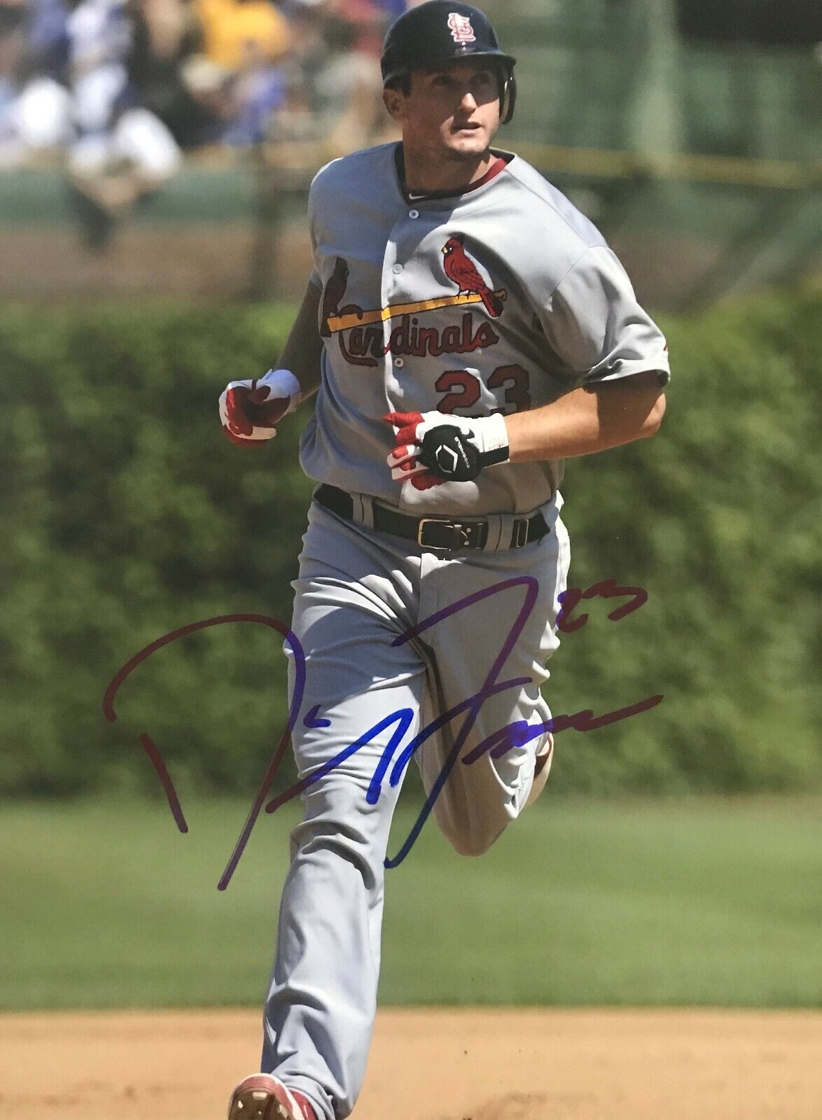 David se St Louis Cardinals Signed 8x10 Autographed Photo Poster painting COA E1