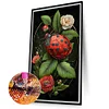 >SALE<5D DIY Full Round Drill Diamond Painting Garden Ladybug Kit Home Decor (Y783)