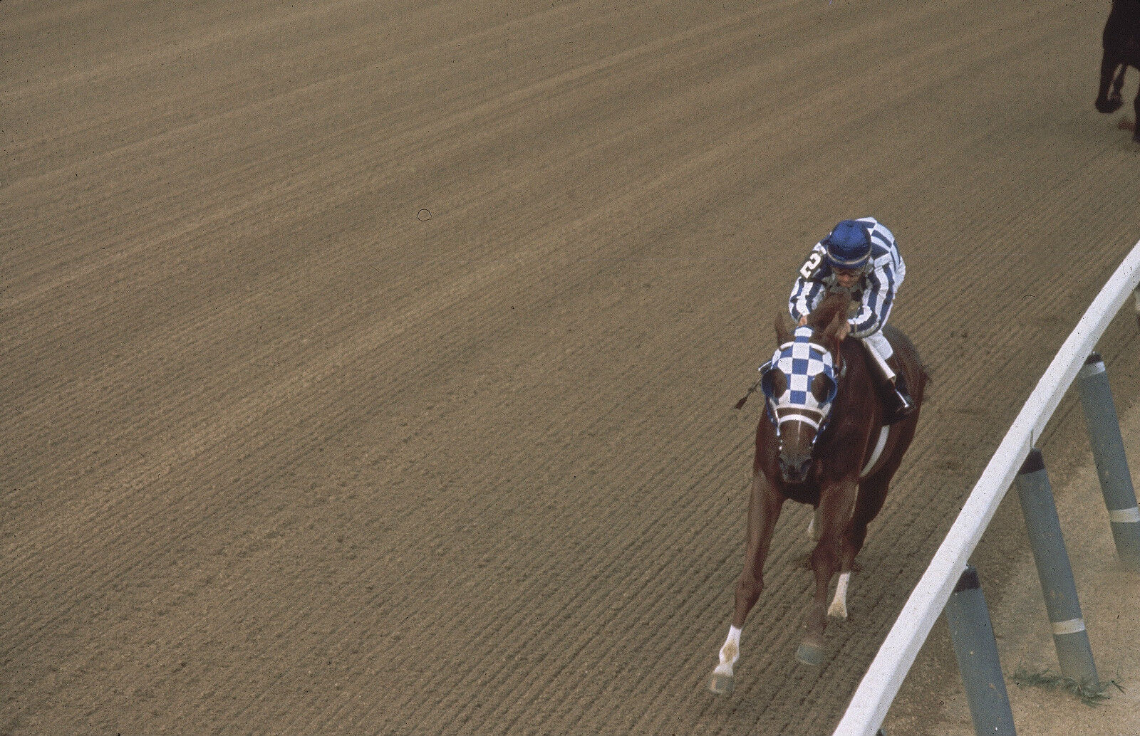 1973 Ron Turcotte SECRETARIAT Belmont stakes Horse Racing 8x10 Photo Poster painting TripleCrown