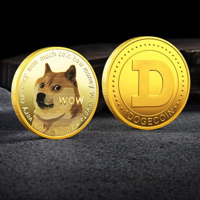 1Oz Gold Dogecoin Commemorative Coin Gold Plated Doge Coin 2021 Limited Edition Collectible Coin with Protective Case | IFYHOME