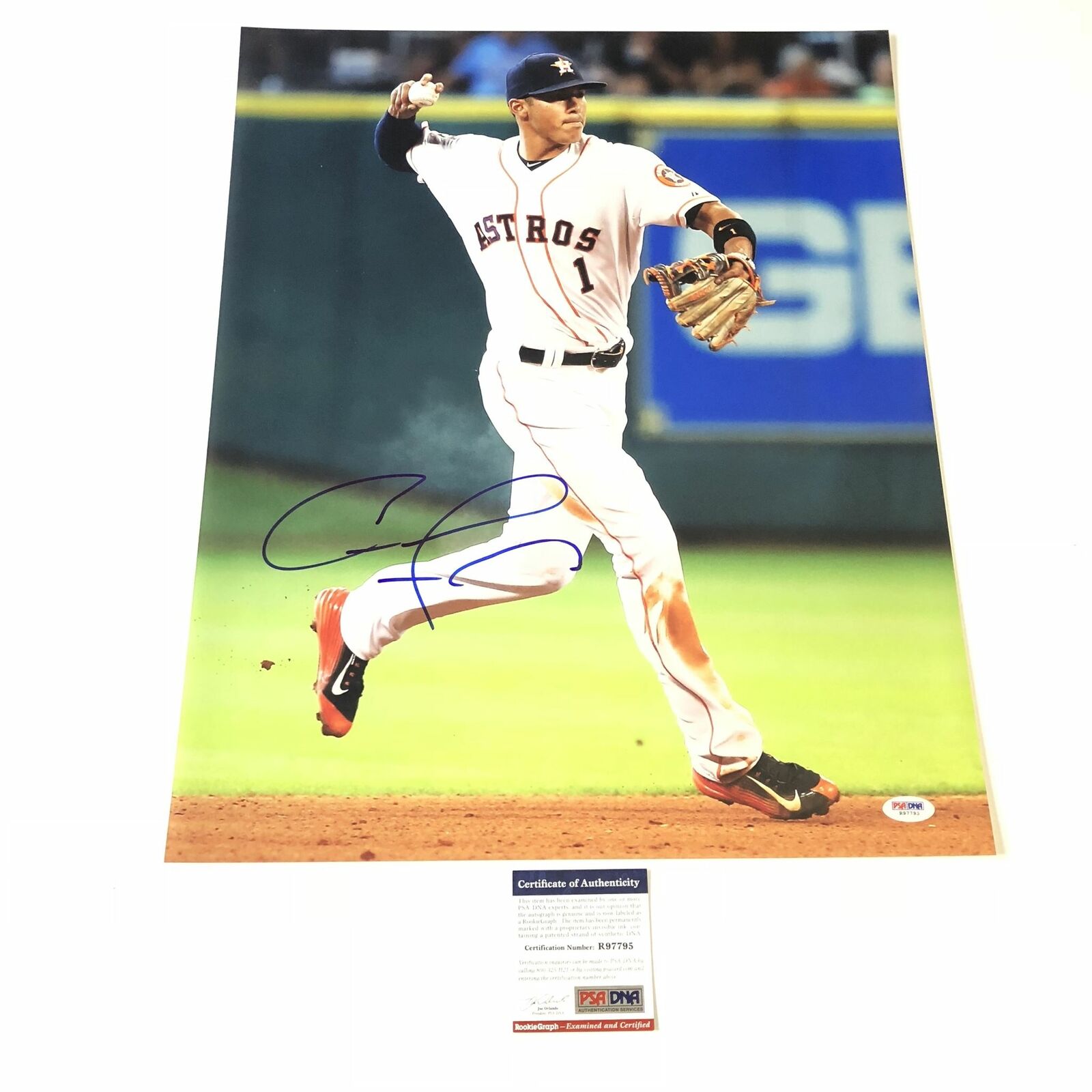 Carlos Correa signed 16x20 Photo Poster painting PSA/DNA Houston Astros Autographed