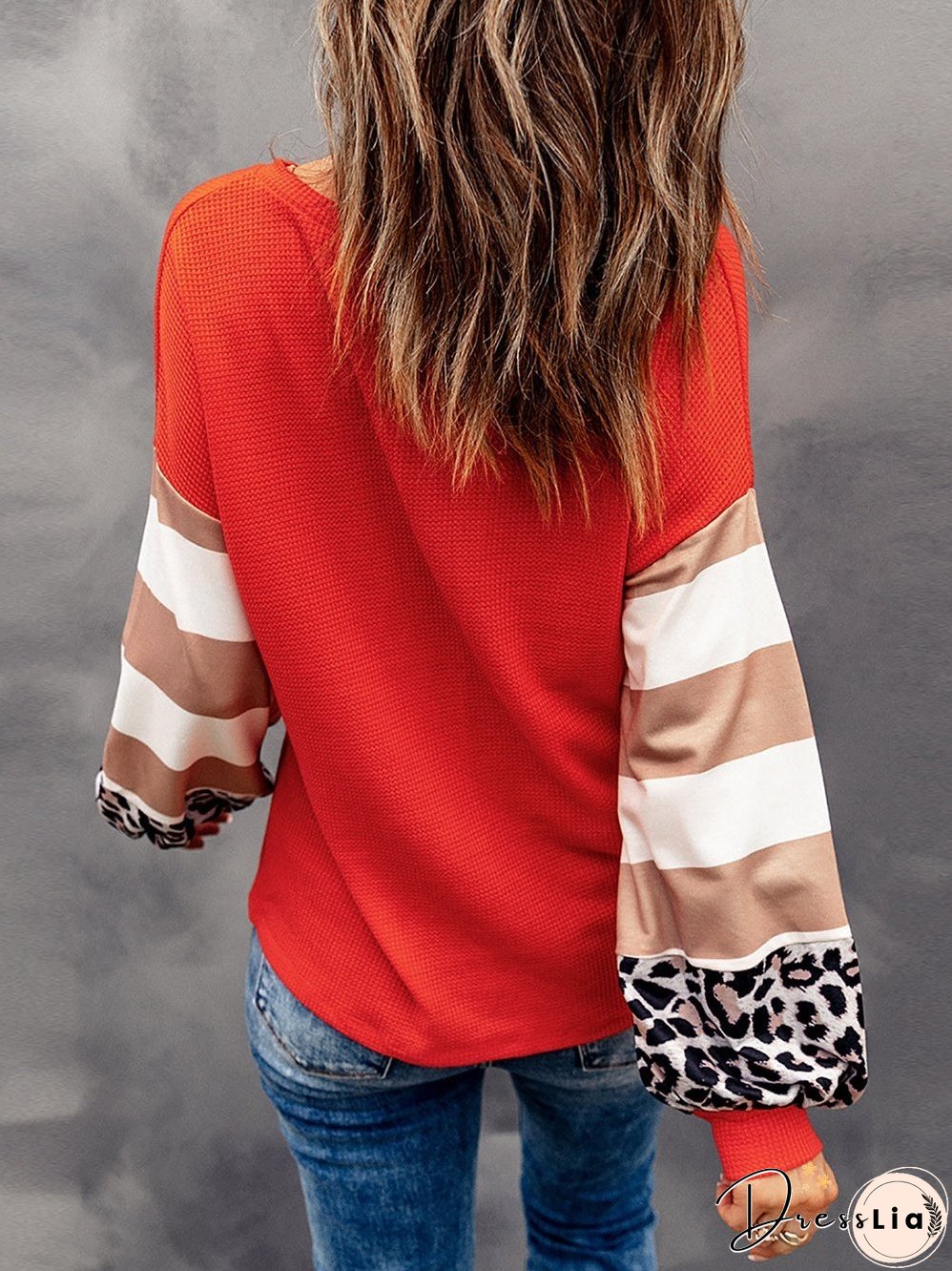 Leopard Stripe V Neck Lantern Sleeve Top with Colorblock Detail