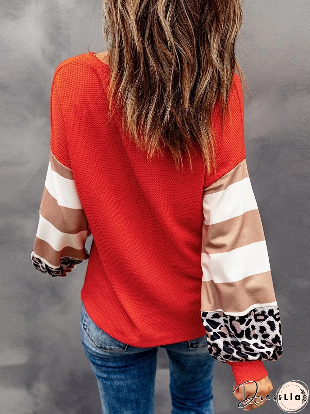 Leopard Stripe V Neck Lantern Sleeve Top with Colorblock Detail